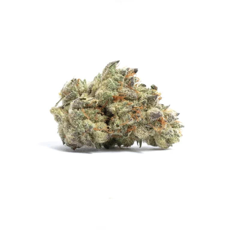 Close-up of Animal Cookies cannabis buds, showcasing dense, trichome-covered green flowers with orange pistils and deep purple undertones.