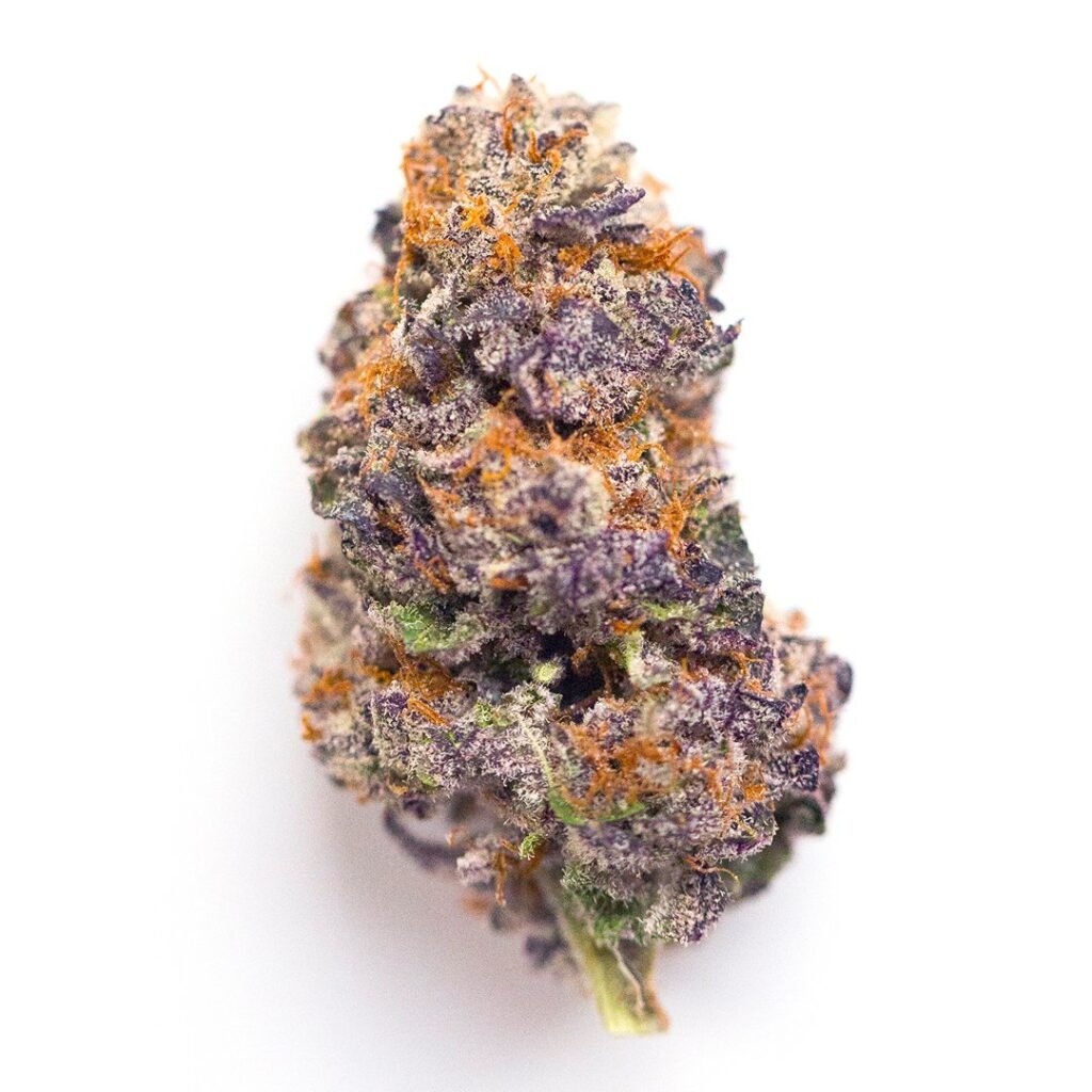 Close-up of Candyland cannabis buds with colorful hues of green, purple, and orange, coated in glistening trichomes.