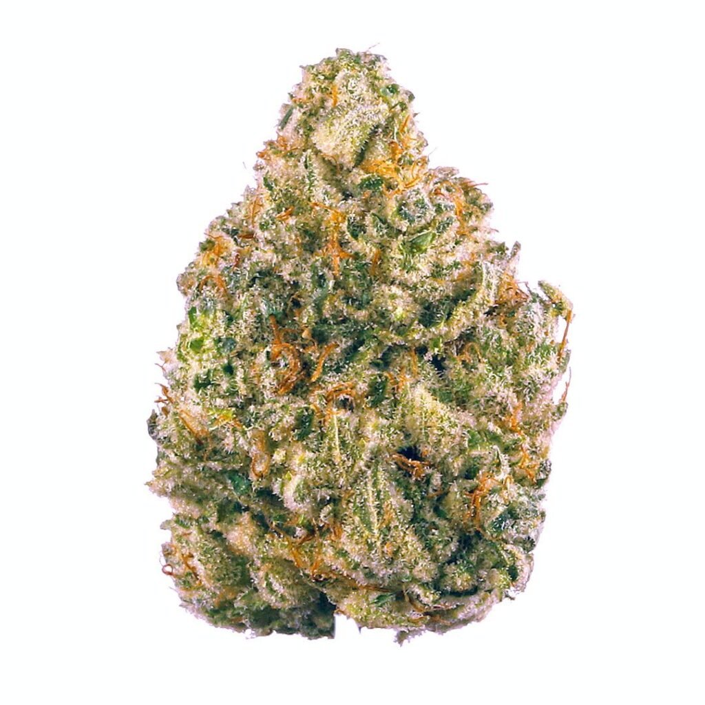 Close-up of Chemdawg Genetic cannabis buds featuring dense, frosty trichomes and deep green leaves.