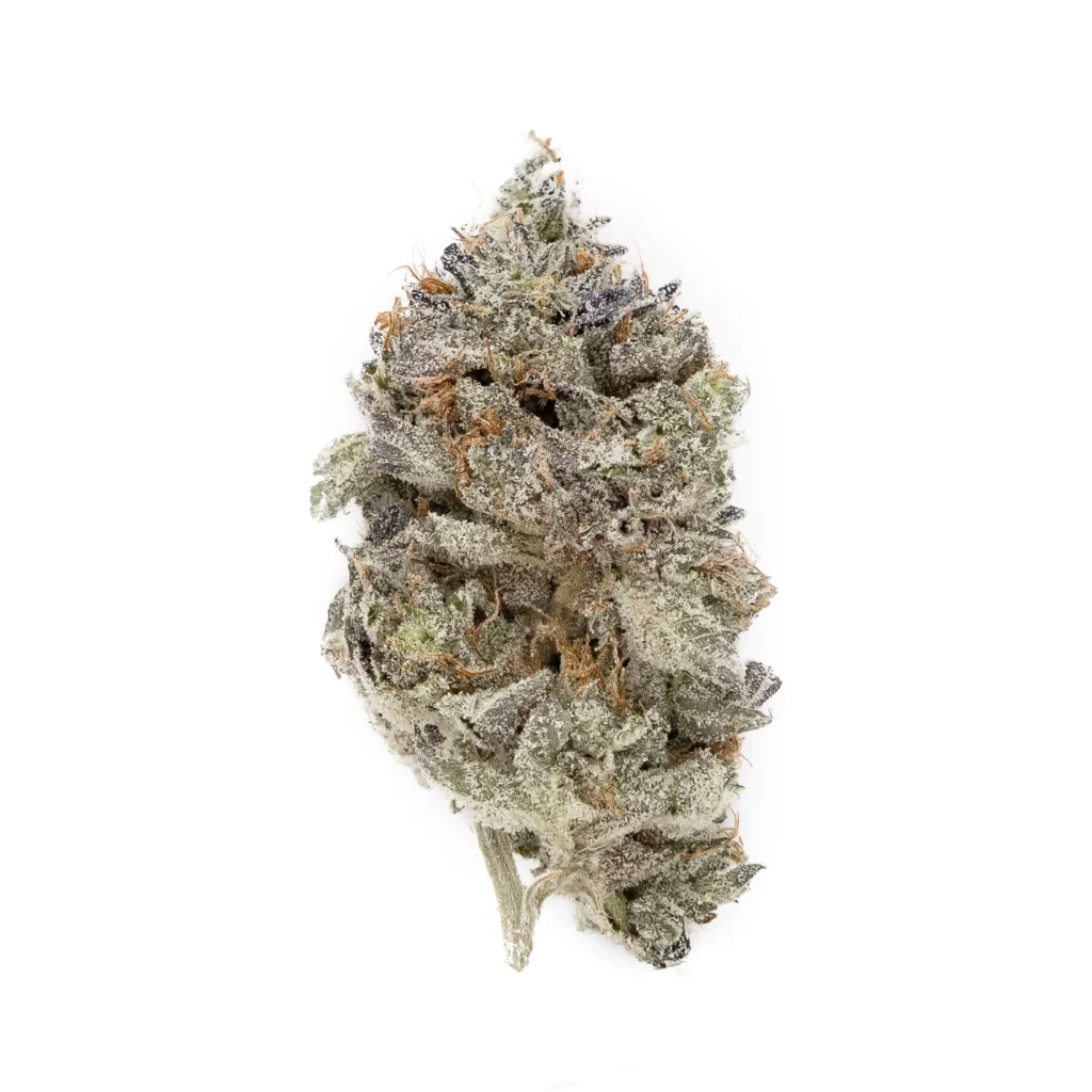 A close-up of Kosher Kush cannabis buds, showcasing dense, frosty green flowers with purple hues and bright orange pistils, coated in a thick layer of trichomes.