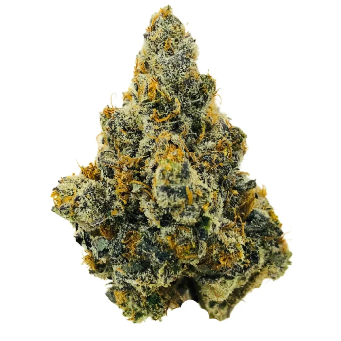 Close-up of Atomic OG cannabis buds with dense, frosty trichomes and deep green hues.