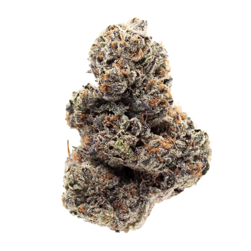 Close-up of Blueberry Space Cake cannabis buds with dense, frosty trichomes and deep purple hues.
