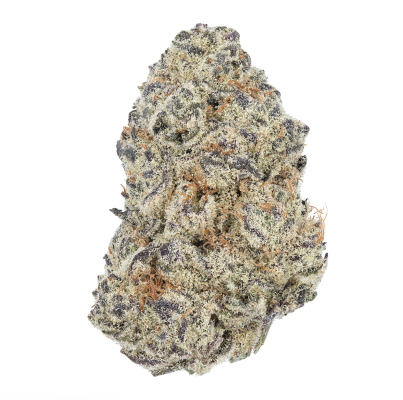 A close-up image of Cereal Milk cannabis strain buds from Monster Of Terps, featuring dense, frosty trichomes with hints of purple and orange hairs, and a sticky, resinous coating.