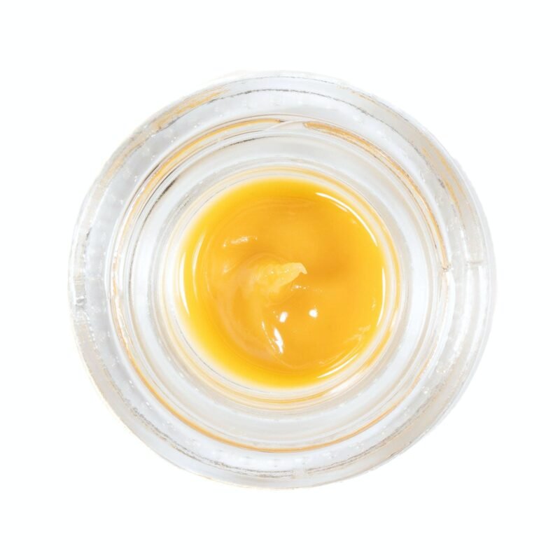 Golden, grainy sugar badder concentrate in a jar labeled "Cheetah Piss Sugar Badder" by Monster of Terps, with a creamy texture and a rich amber hue.