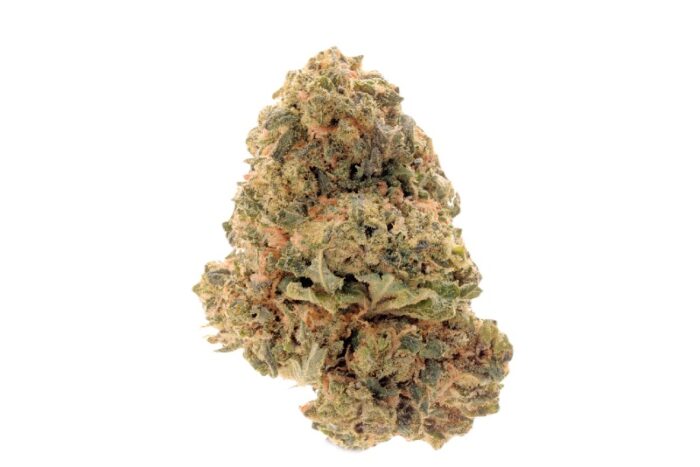 A close-up of Chocolope cannabis strain buds, featuring dense, frosty green flowers with rich chocolate hues and orange pistils, coated in a layer of trichomes, highlighting its sweet aroma.