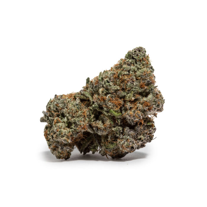 Close-up of Crème Brulee AAA weed strain from Monster Of Terps, featuring fluffy forest green buds with amber hairs and frosty amber trichomes.