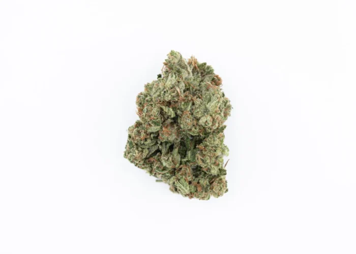 Close-up of Dirty Girl cannabis buds with vibrant green hues and orange hairs, from Monster of Terps dispensary