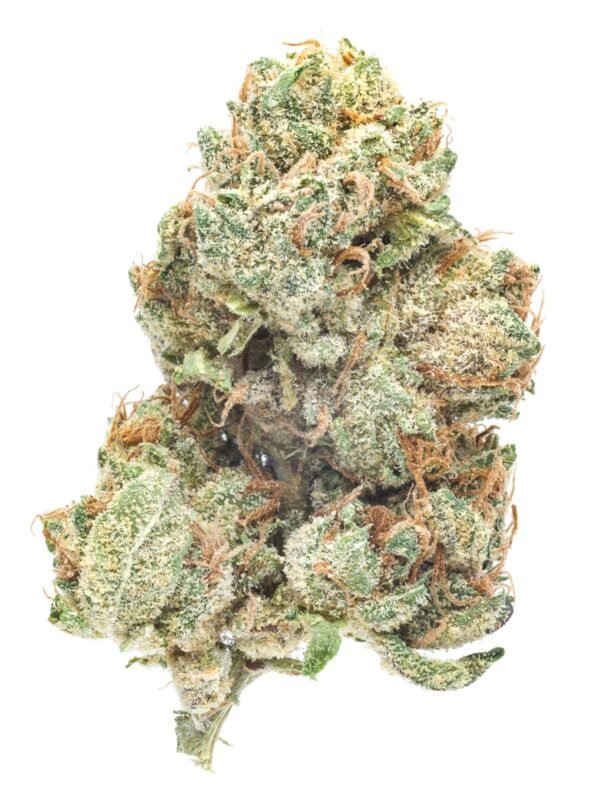 Kardashian OG cannabis strain buds from Monster of Terps showcasing dense, frosty, and aromatic nugs.