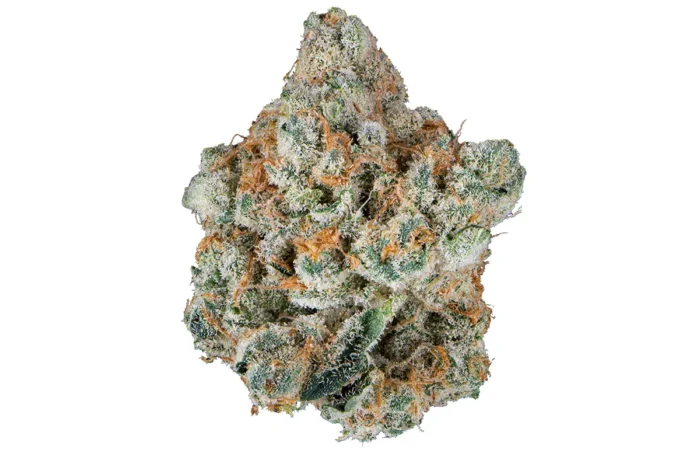 Kobe OG cannabis buds from Monster of Terps with dense, frosty trichomes and rich purple hues.