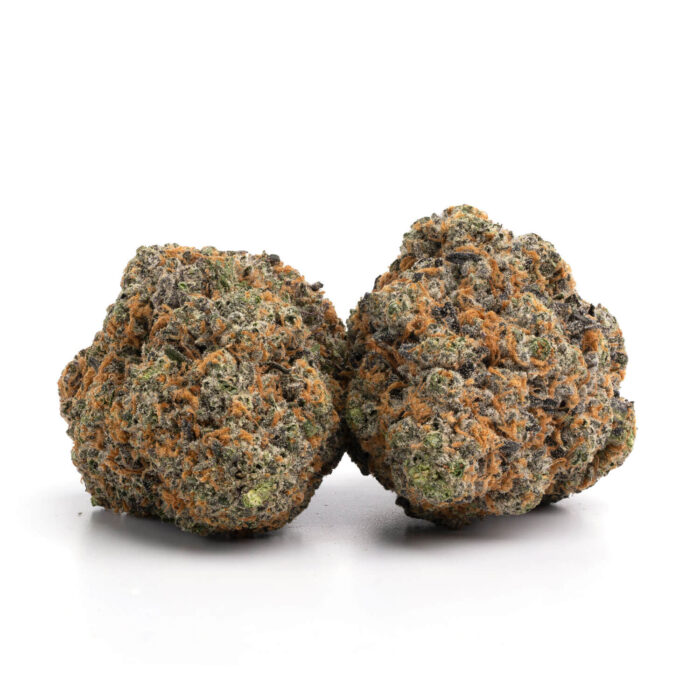 Close-up of Monster Cookies cannabis flower from Monster of Terps, showcasing bright green buds with orange hairs and frosty white trichomes.
