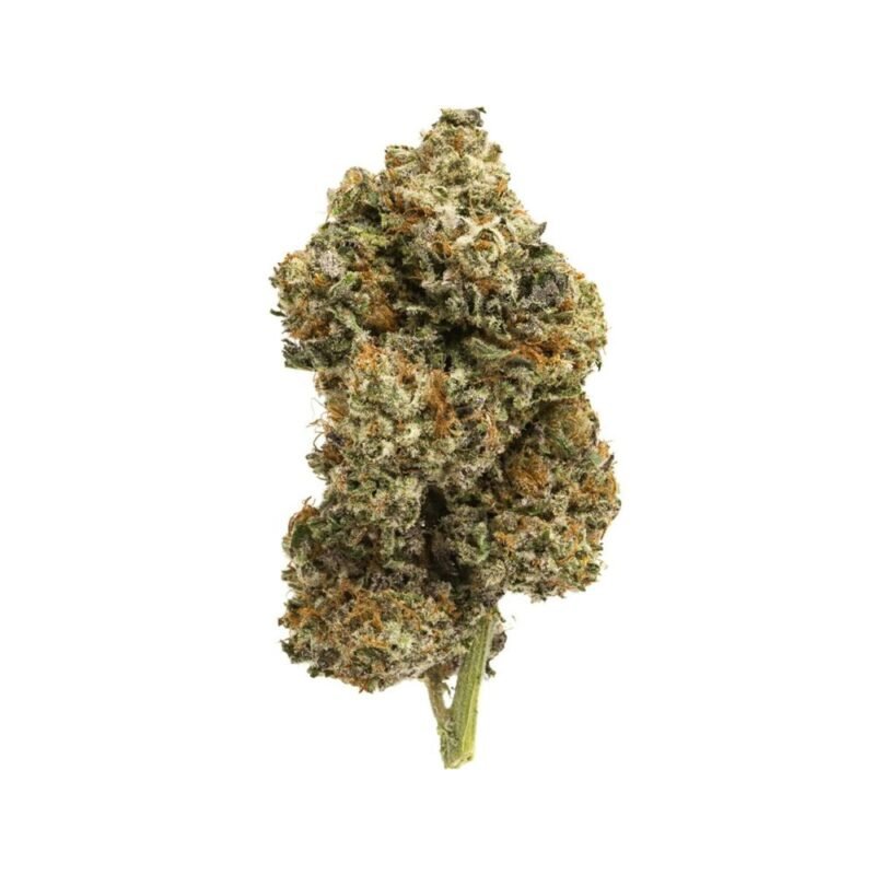 Close-up of Obama OG cannabis buds, showcasing dense green nugs with orange pistils and a frosty layer of trichomes.