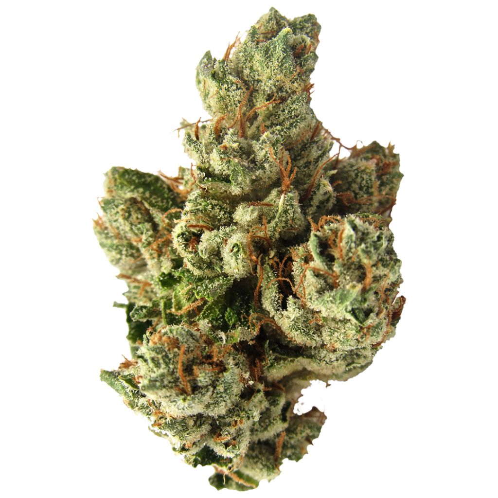 A close-up of SFV OG cannabis buds, showcasing dense, frosty green flowers with orange pistils and a thick layer of trichomes, highlighting its signature appearance.