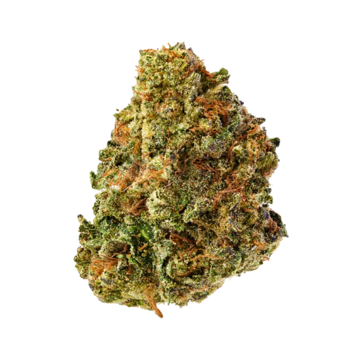 Close-up of Squid OG cannabis buds showcasing dense, trichome-covered flowers with a vibrant green color.