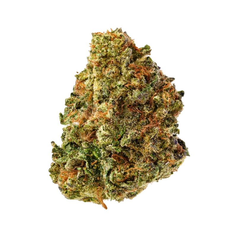 Close-up of Squid OG cannabis buds showcasing dense, trichome-covered flowers with a vibrant green color.