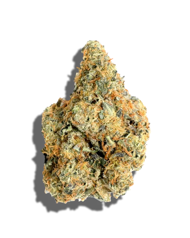 Close-up of Strainbow cannabis buds by Monsters of Terps, showcasing vibrant colors and frosty trichomes.