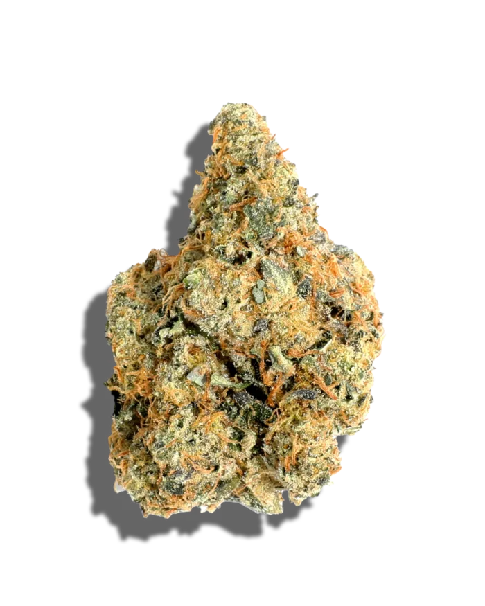 Close-up of Strainbow cannabis buds by Monsters of Terps, showcasing vibrant colors and frosty trichomes.