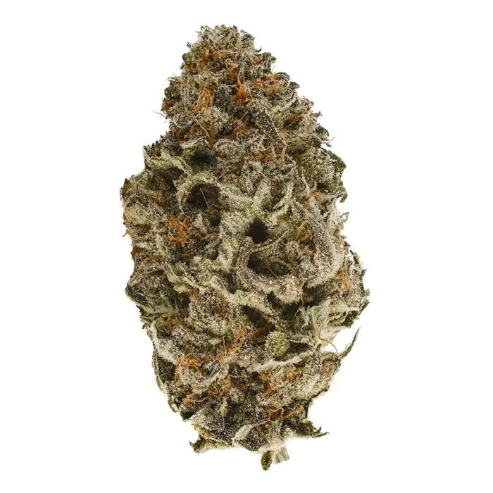Strawberry Diesel cannabis strain with vibrant buds and frosty trichomes from Monster Of Terps"