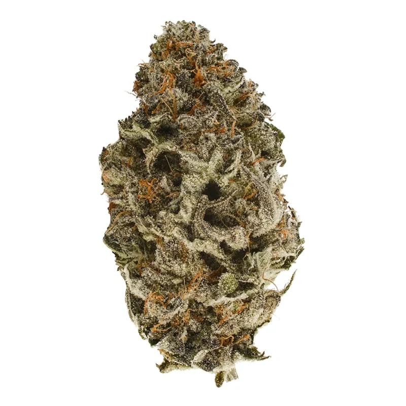 Strawberry Diesel cannabis strain with vibrant buds and frosty trichomes from Monster Of Terps"