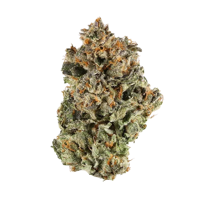 A close-up of True OG cannabis buds, featuring dense, dark green flowers with orange pistils and a frosty layer of trichomes.