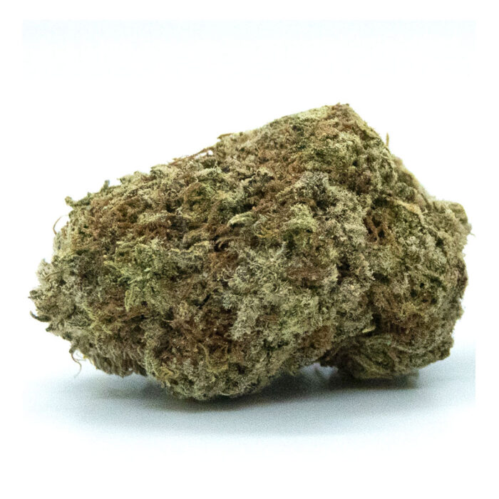 Close-up of Blackberry Kush cannabis buds with deep purple hues, orange hairs, and frosty trichomes.