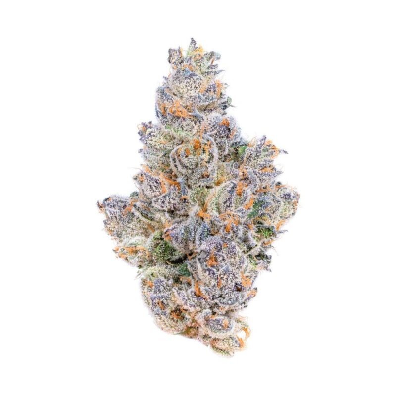 Close-up of Exotic OG cannabis buds from Monster Of Terps, showcasing dense, frosty nugs with rich amber undertones, orange pistils, and a heavy coating of trichomes.