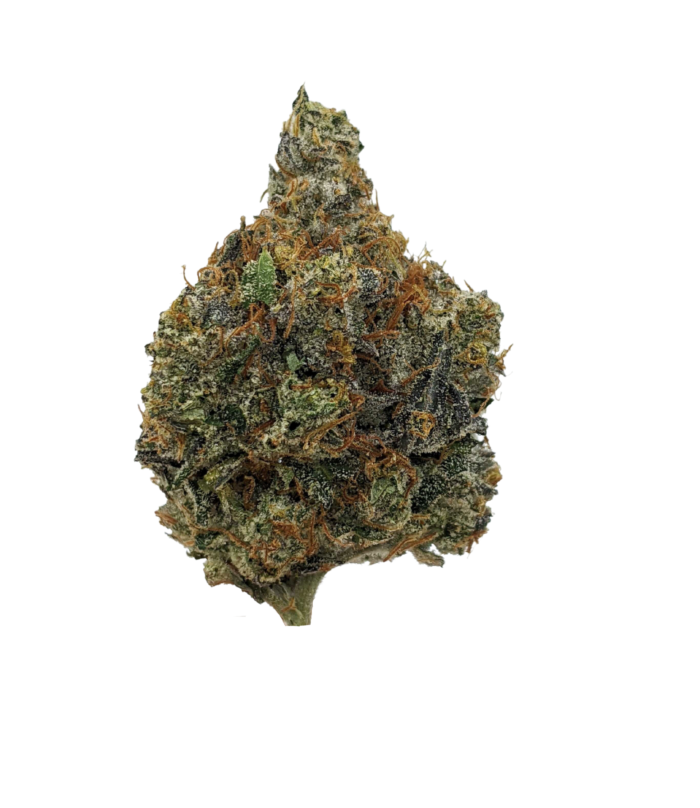 Close-up of Garlotti indoor cannabis buds with dense trichomes, vibrant green hues, and hints of purple, from Monster of Terps dispensary.