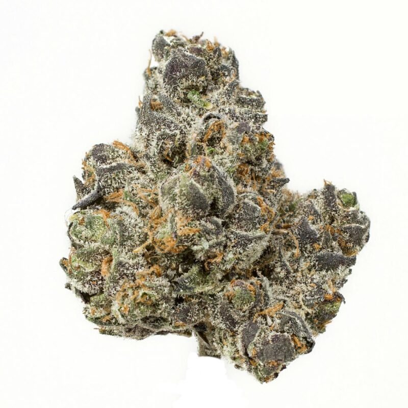 Close-up of Hashbar OG cannabis buds, featuring dense green flowers with hints of purple and a frosty layer of trichomes.