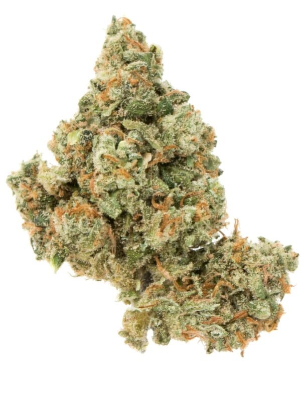 Close-up of Jack Herer cannabis buds with vibrant green hues and frosty trichomes.