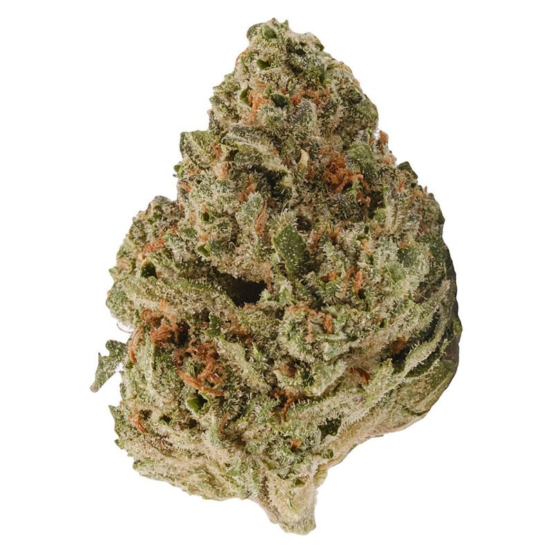 Close-up image of Jet Fuel cannabis buds from Monster of Terps, showcasing its frosty trichomes and vibrant green hues.