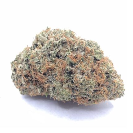 Close-up of Larry OG indoor cannabis buds from Monster of Terps, showing dense nugs with vibrant burnt orange hairs.