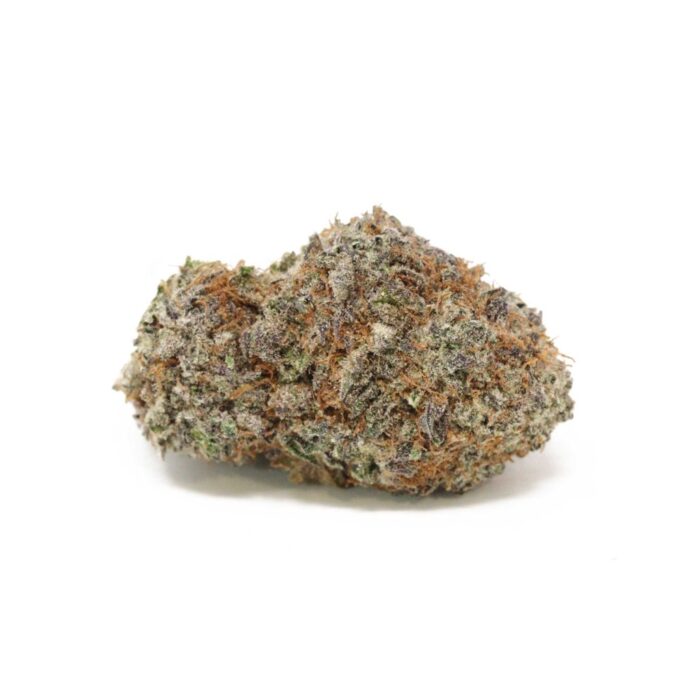 Close-up of God's Gift AAA Indica Premium Flower by Monster of Terps, showcasing dense, frosty buds with deep purple hues and vibrant orange hairs.