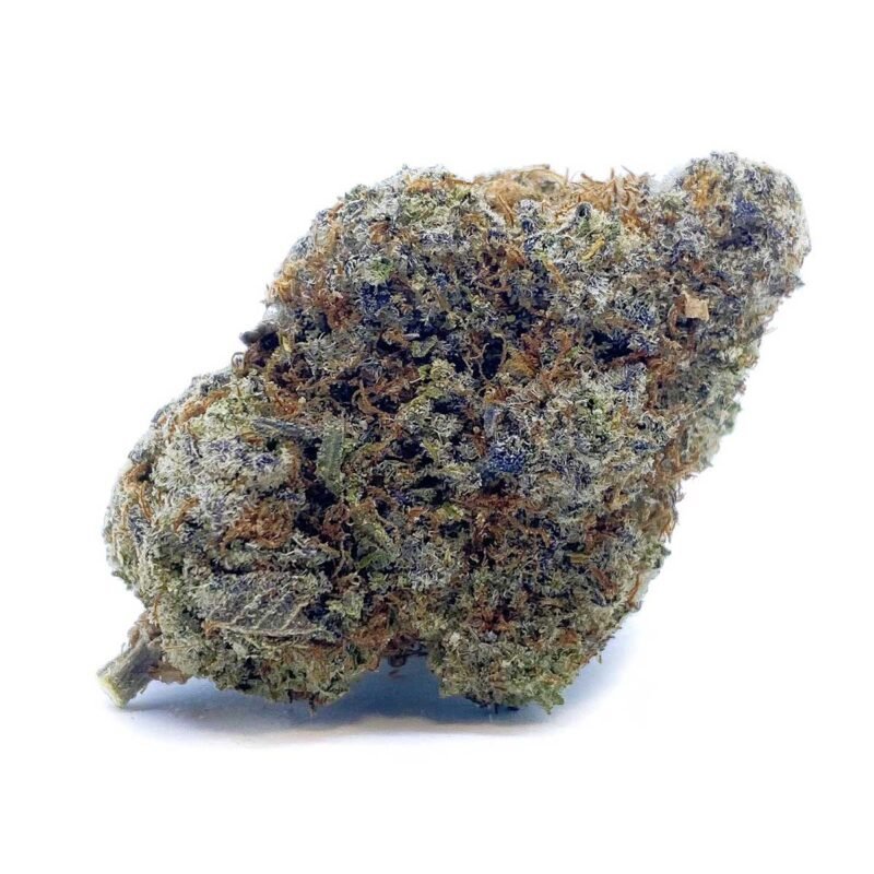 Sherbacio Exotic Strain from Monster of Terps, featuring vibrant buds and a rich layer of trichomes.