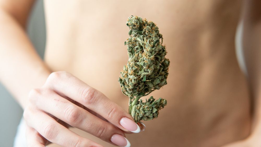 Best Weed strains for sex enhancing intimacy from Monster of Terps, featuring a range of strains designed to elevate mood and connection.