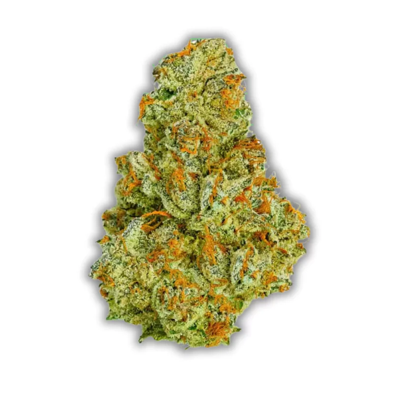 Sour Diesel cannabis strain from Monster of Terps, featuring dense, frosty buds with a strong diesel aroma.