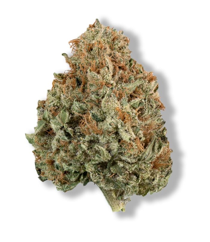 Close-up of Trainwreck cannabis buds with bright green and orange hues, from Monster of Terps dispensary.
