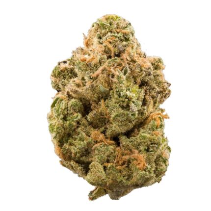 Close-up of 8 Miles High Marijuana Strain buds, showcasing dense trichomes and vibrant green hues with orange pistils.