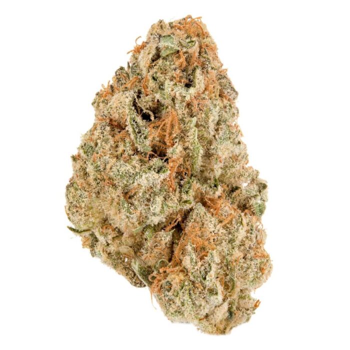 Orange Creamsicle strain by Monster of Terps – frosty sativa-dominant buds with creamy citrus aroma