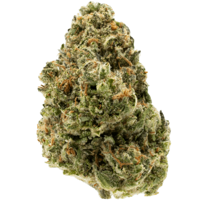 Close-up of dense Illuminati OG cannabis buds from Monster of Terps, showcasing vibrant green hues and frosty trichomes