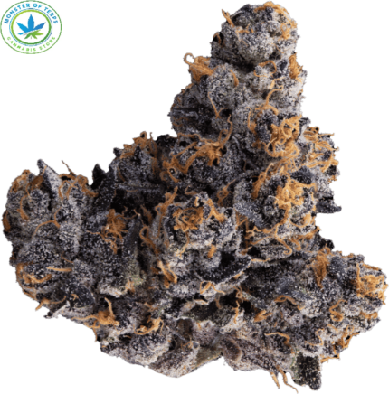 Close-up of Jealousy strain cannabis buds showing dense, olive-green flowers with orange hairs and frosty trichomes.