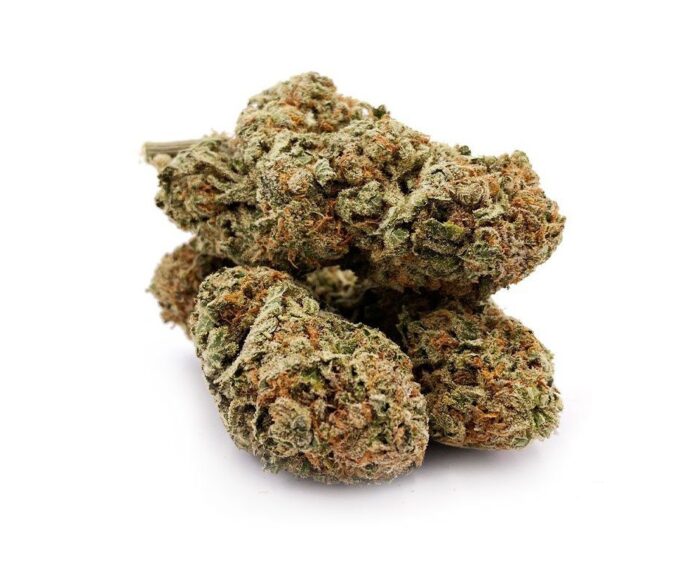 Orange Sherbet strain Cannabis with dense green and purple buds, bright orange hairs, and a frosty trichome layer.