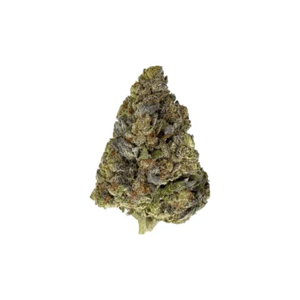 Pluto indica strain Cannabis – dense frosty buds from Gashouse with relaxing and sedating effects