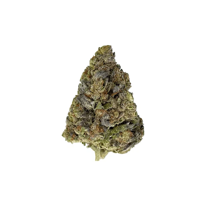 Pluto indica strain Cannabis – dense frosty buds from Gashouse with relaxing and sedating effects
