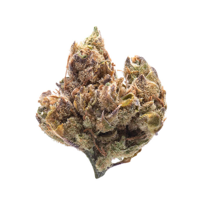 Sour Tsunami by Monster of Terps: High-CBD Relief for Pain and Stress