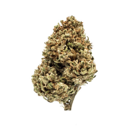 Close-up of frosty Durban Poison cannabis buds from Monster of Terps, showing dense trichomes and chunky structure.