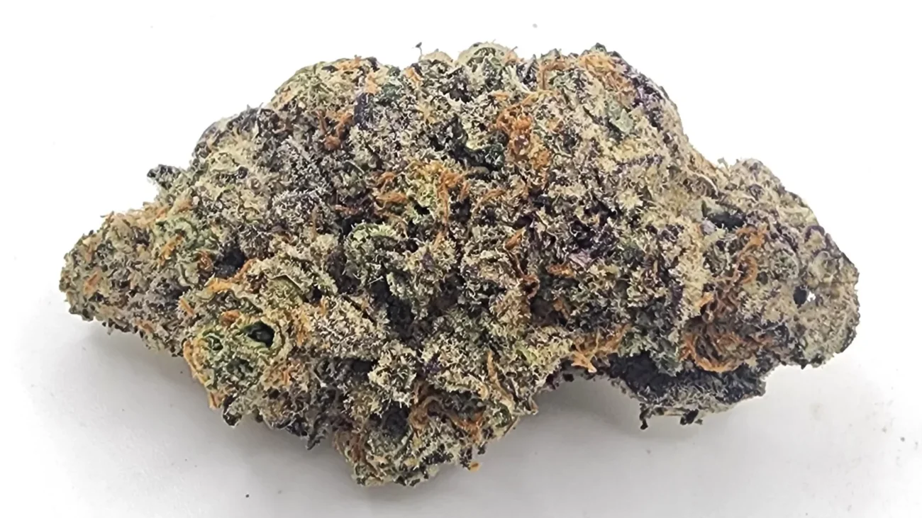 This image has an empty alt attribute; its file name is Chocolate-OG-Weed-Strain-Information-Buy-Online-Weed-Strain-1300x731.webp