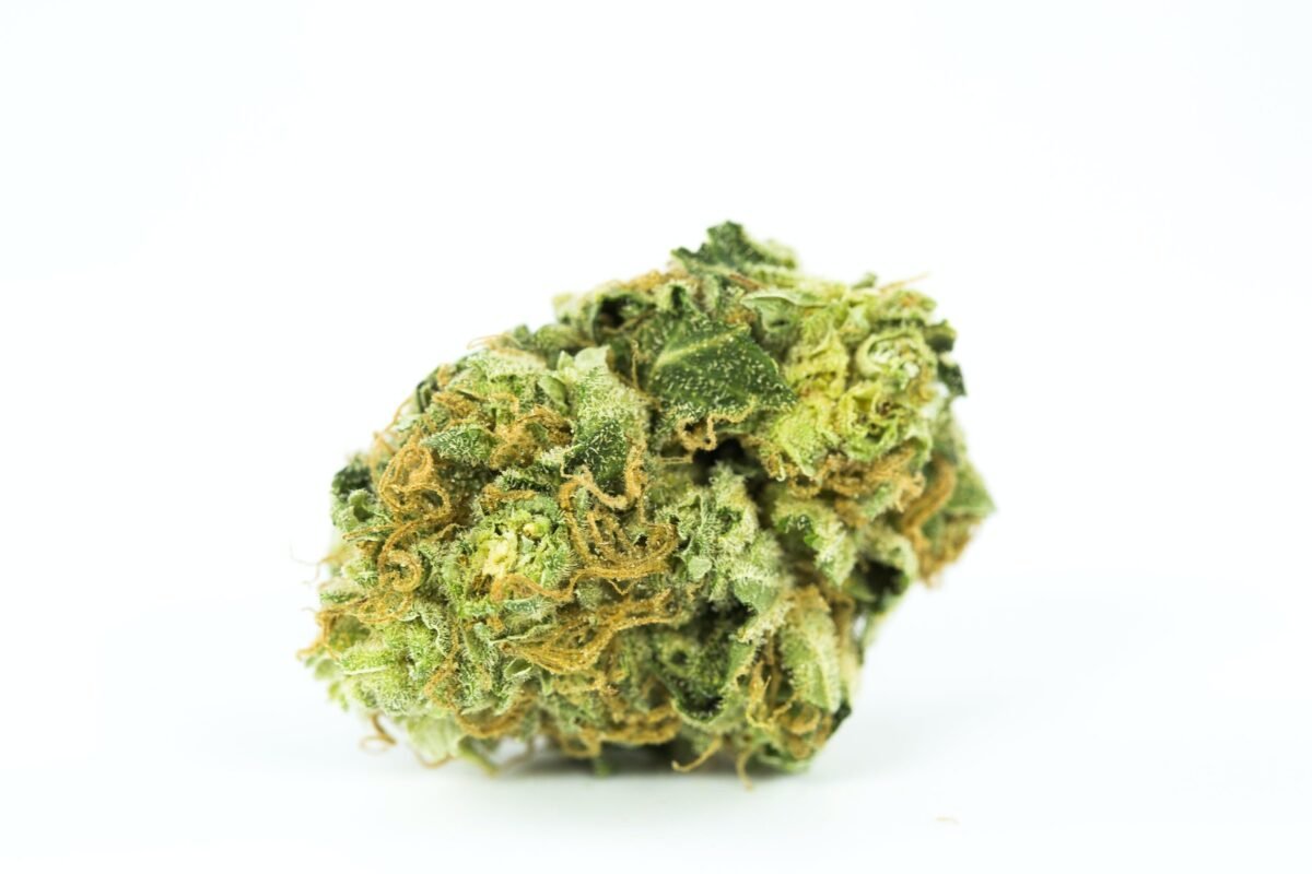 Close-up of Sweet Tea cannabis buds from Monster of Terps—bright green nugs with orange hairs and a frosty coating of trichomes.