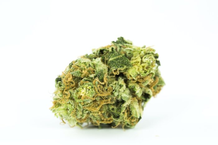 Close-up of Sweet Tea cannabis buds from Monster of Terps—bright green nugs with orange hairs and a frosty coating of trichomes.