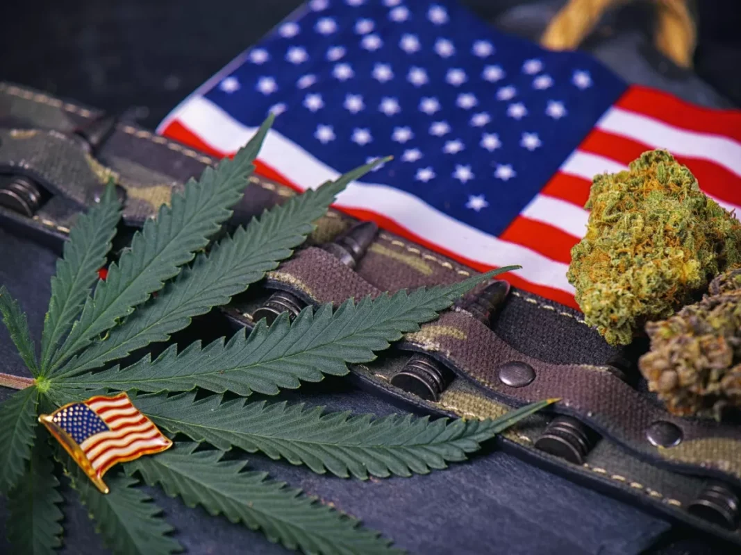 Veterans and Cannabis: Healing Through Terpenes with Monster of Terps