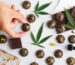 Close-up of various cannabis-infused edible snacks arranged on a wooden platter, showcasing chocolates, gummies, and cookies.